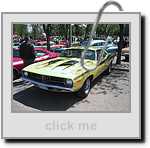 IMG_6586.jpg