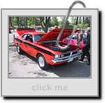 IMG_7296.jpg